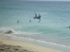 Surfer am Strand - Sal (Kap Verde)