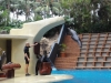 Show der Seelöwen - Loro Parque (Teneriffa, Kanarische Inseln)