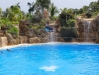 Delpine Delfinshow  - Loro Parque (Teneriffa, Kanarische Inseln)