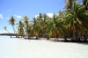 Palmen am Strand von Bora Bora