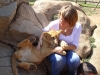 Löwe und Pflegerin - The Lion Park (bei Johannesburg, Südafrika)