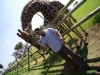 Giraffe füttern - The Lion Park (bei Johannesburg, Südafrika)