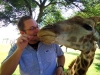 Giraffen füttern - The Lion Park (bei Johannesburg, Südafrika)