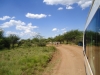 Tolles Wetter bei der Safari (Pilanesberg, Südafrika)