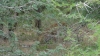 dsc00936-kl