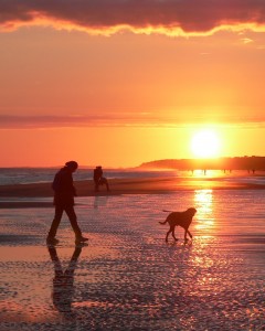 Ab in den Süden: Urlaub mit Hund in Italien und Spanien