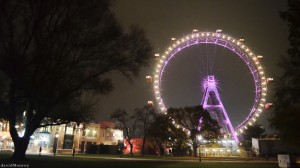 Sightseeing und Foto-Safari im Urlaub