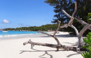 Noch ein CONDOR Ziel: die paradiesischen Seychellen